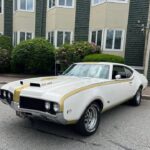 Marlborough Car Show